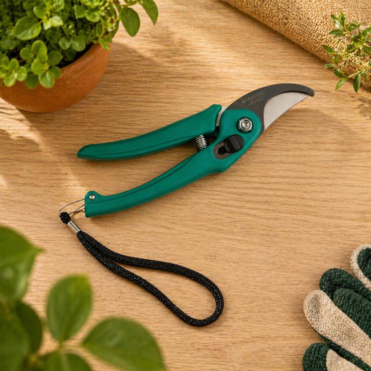 Pruner