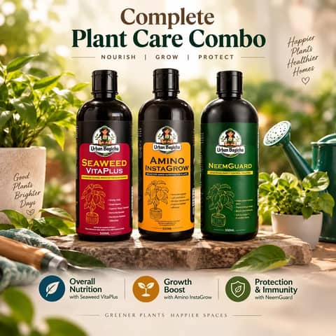 Complete Plant Care Combo