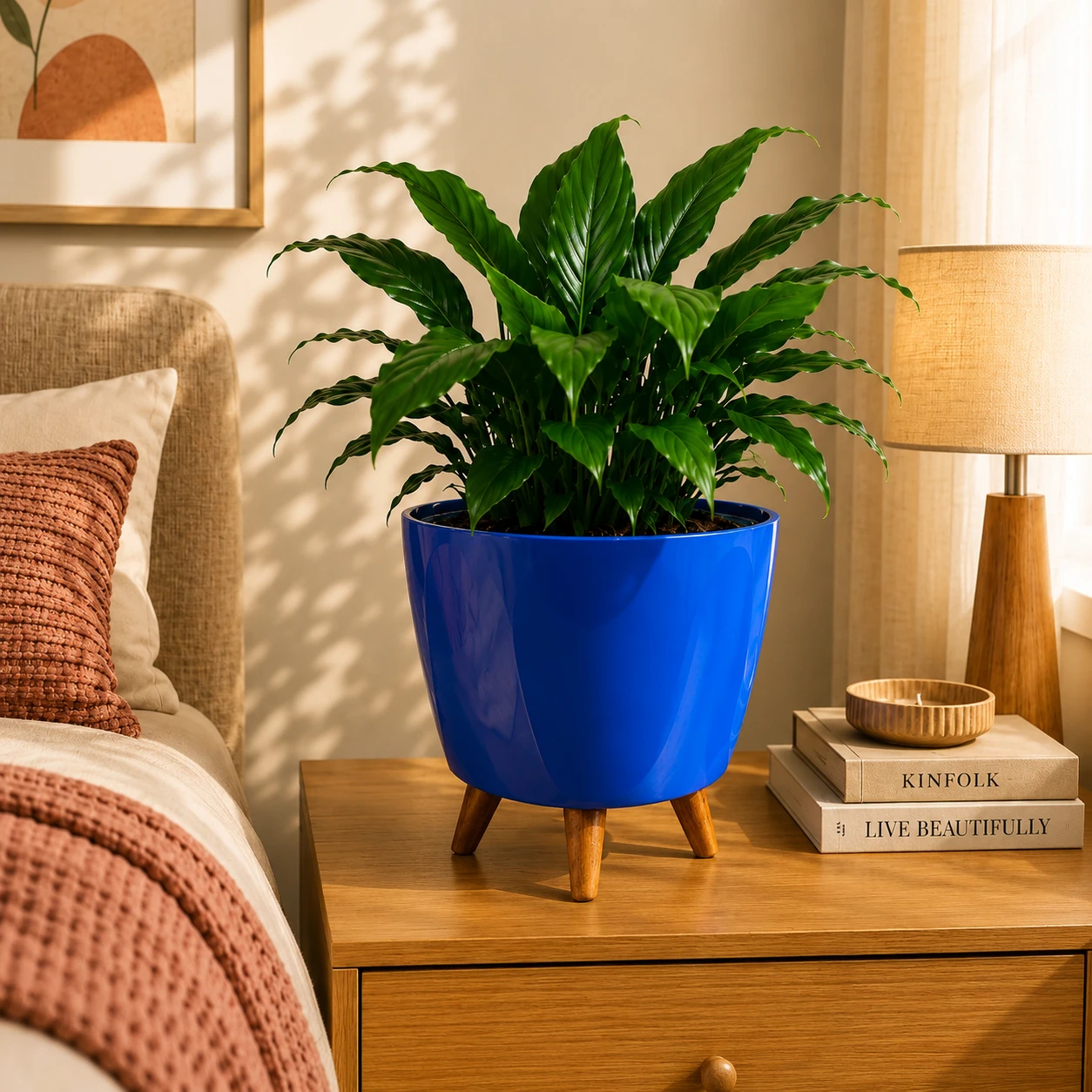 Peace Lily in premium planter