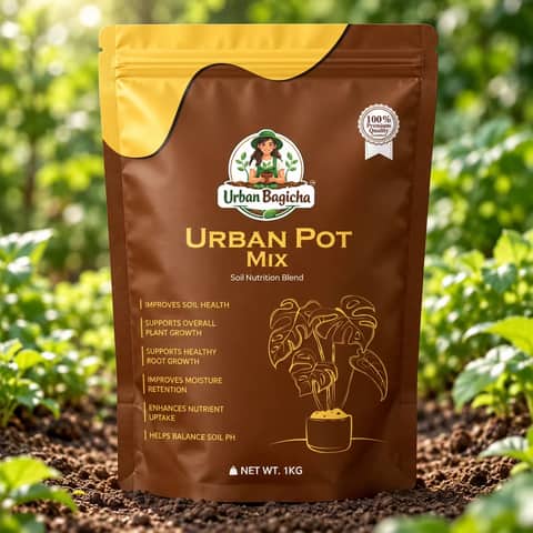 Urban Pot Mix