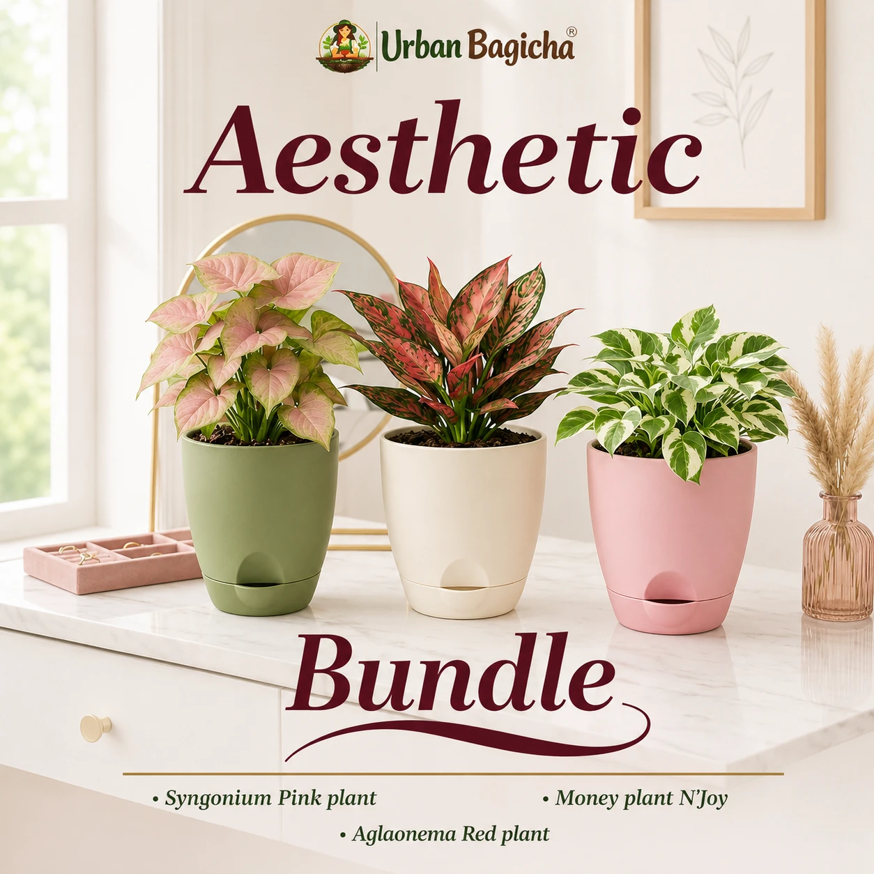 Aesthetic Bundle
