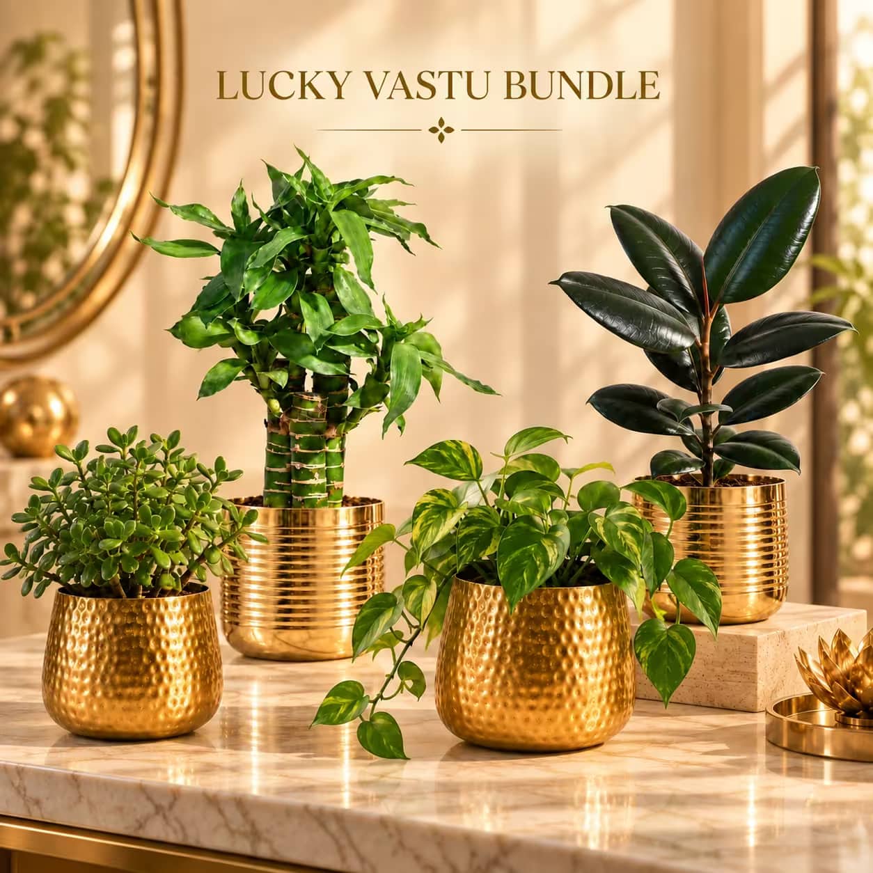 LUCKY VASTU BUNDLE