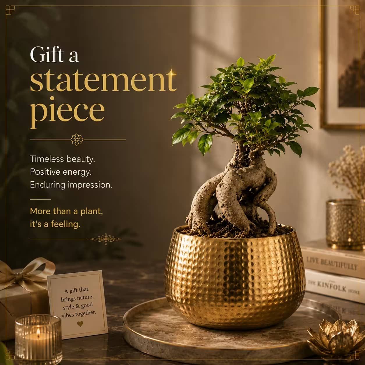 Lux Bonsai Plant