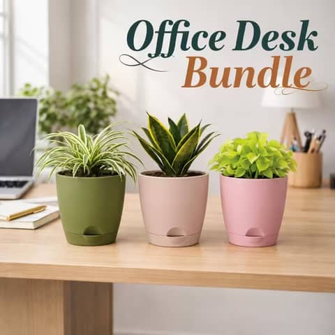 Office Desk Bundle