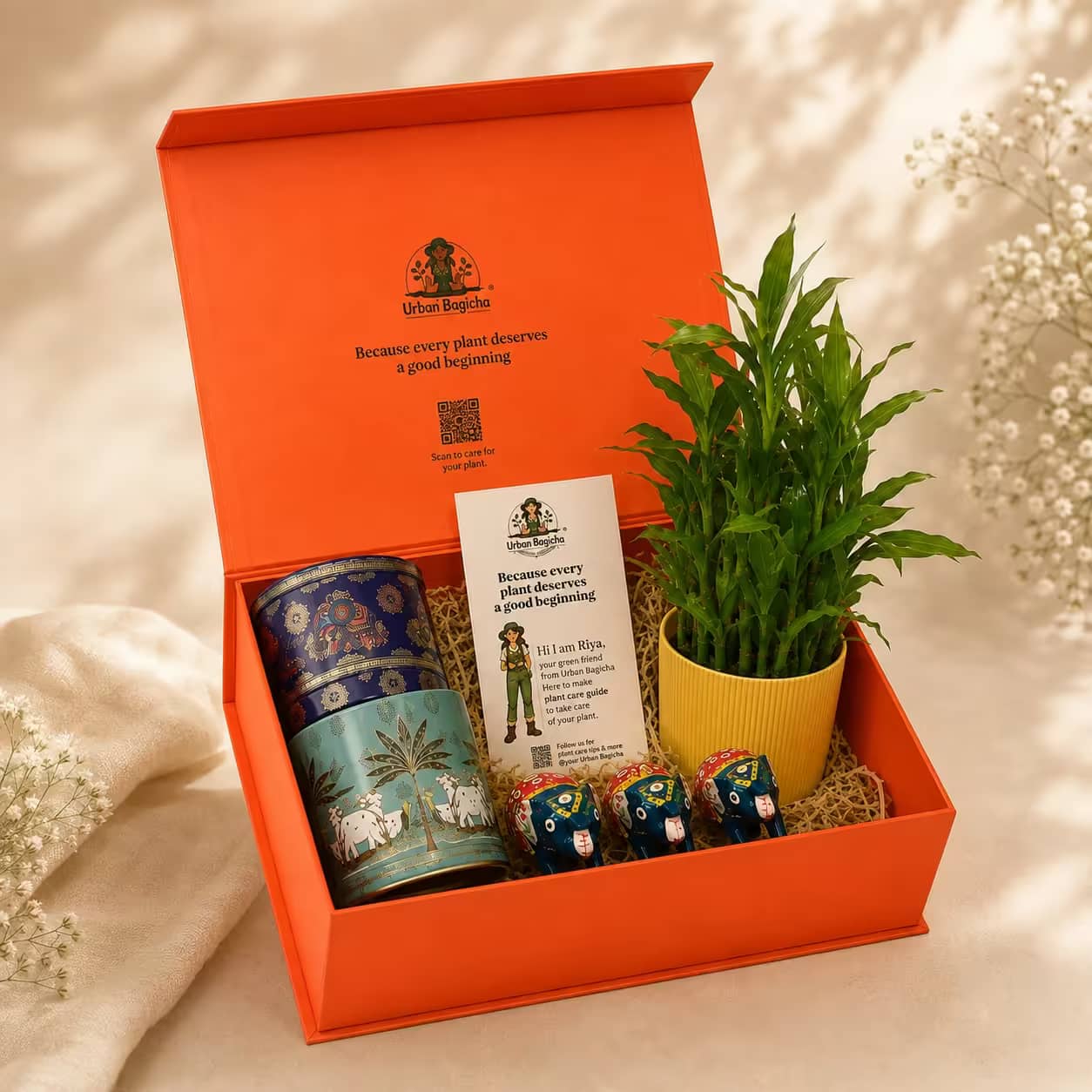 Heritage Harmony – Prestige Collection