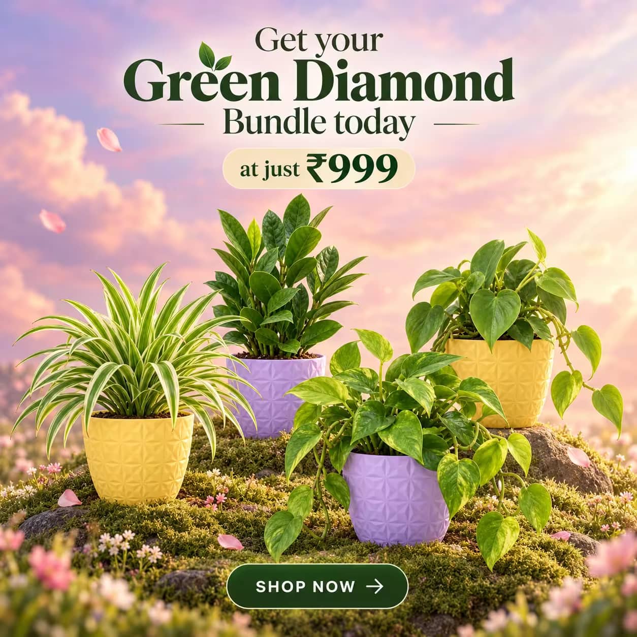 Green Diamond Bundle