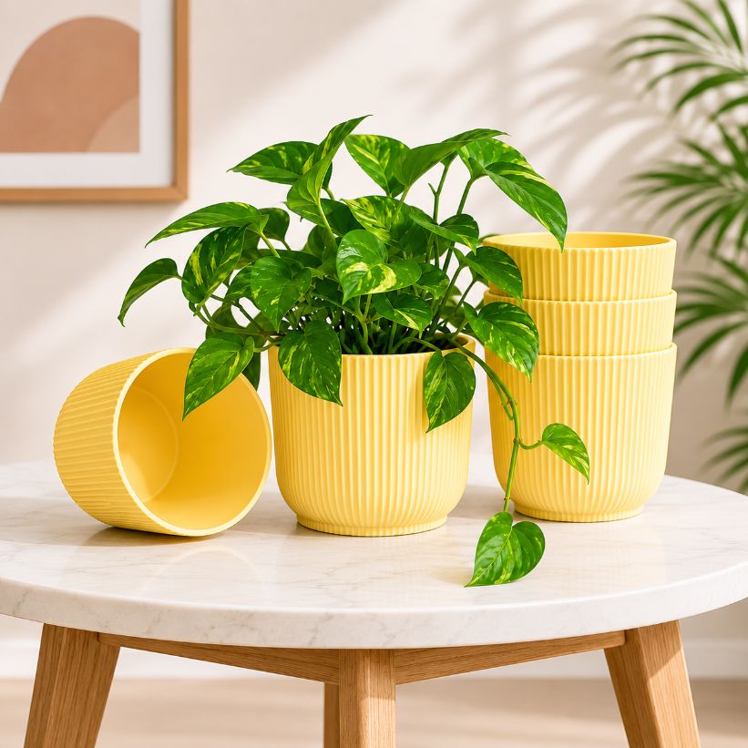 UB Classic Planter - Set of 5
