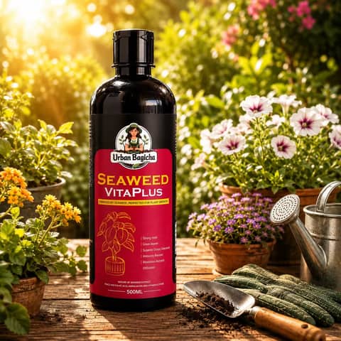 Seaweed VitaPlus