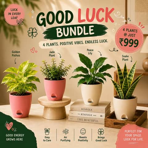 Good Luck Bundle
