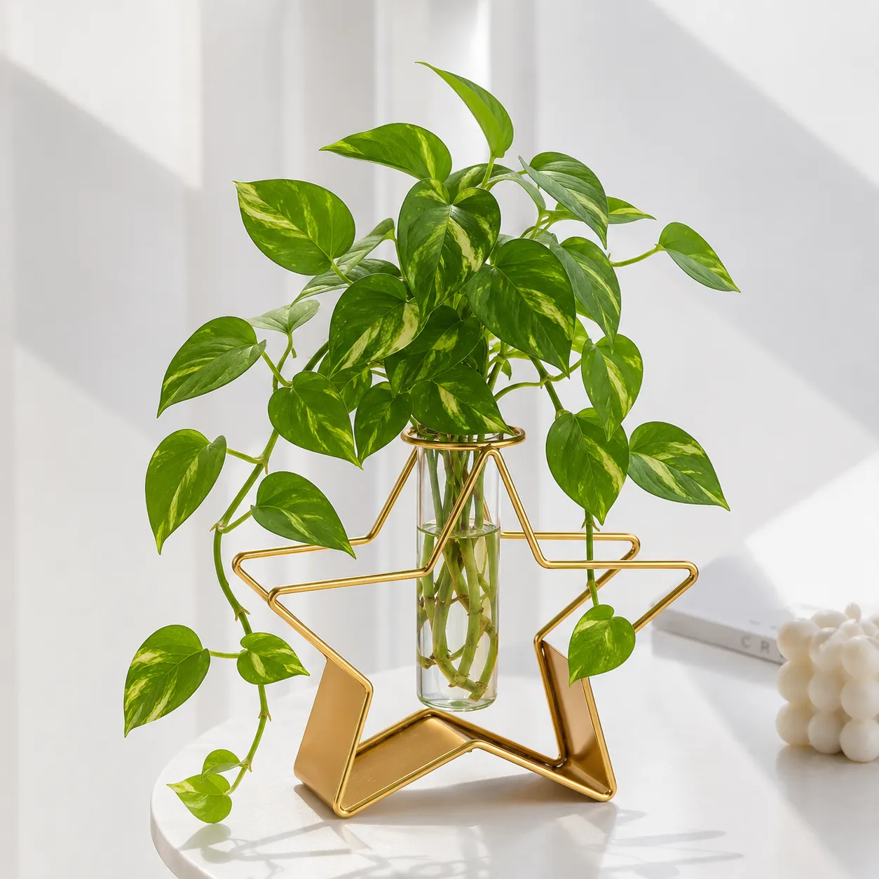 UB Star Water Planter