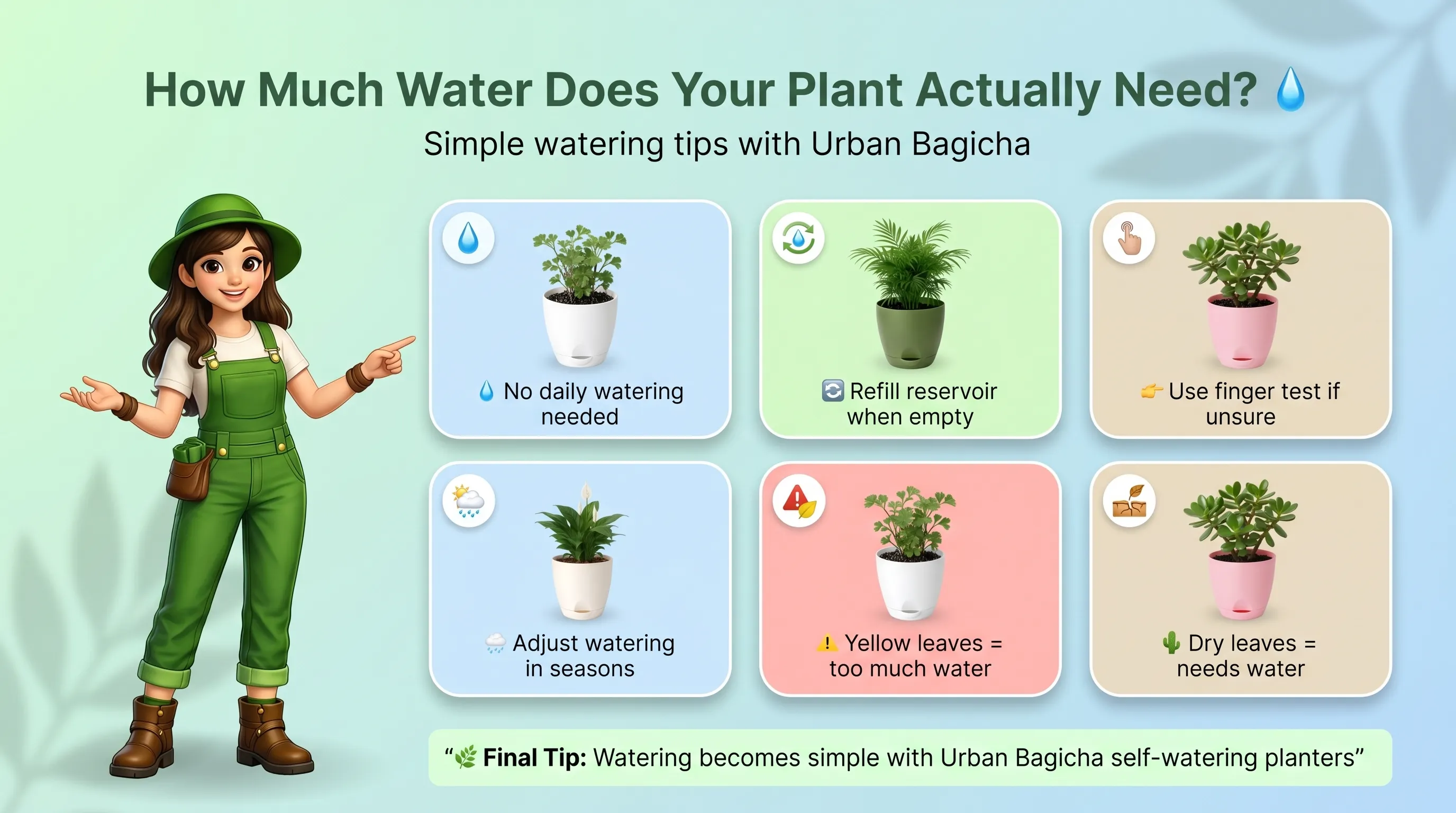 How Much Water Does Your Plant Actually Need?