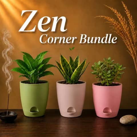 Zen Corner Bundle