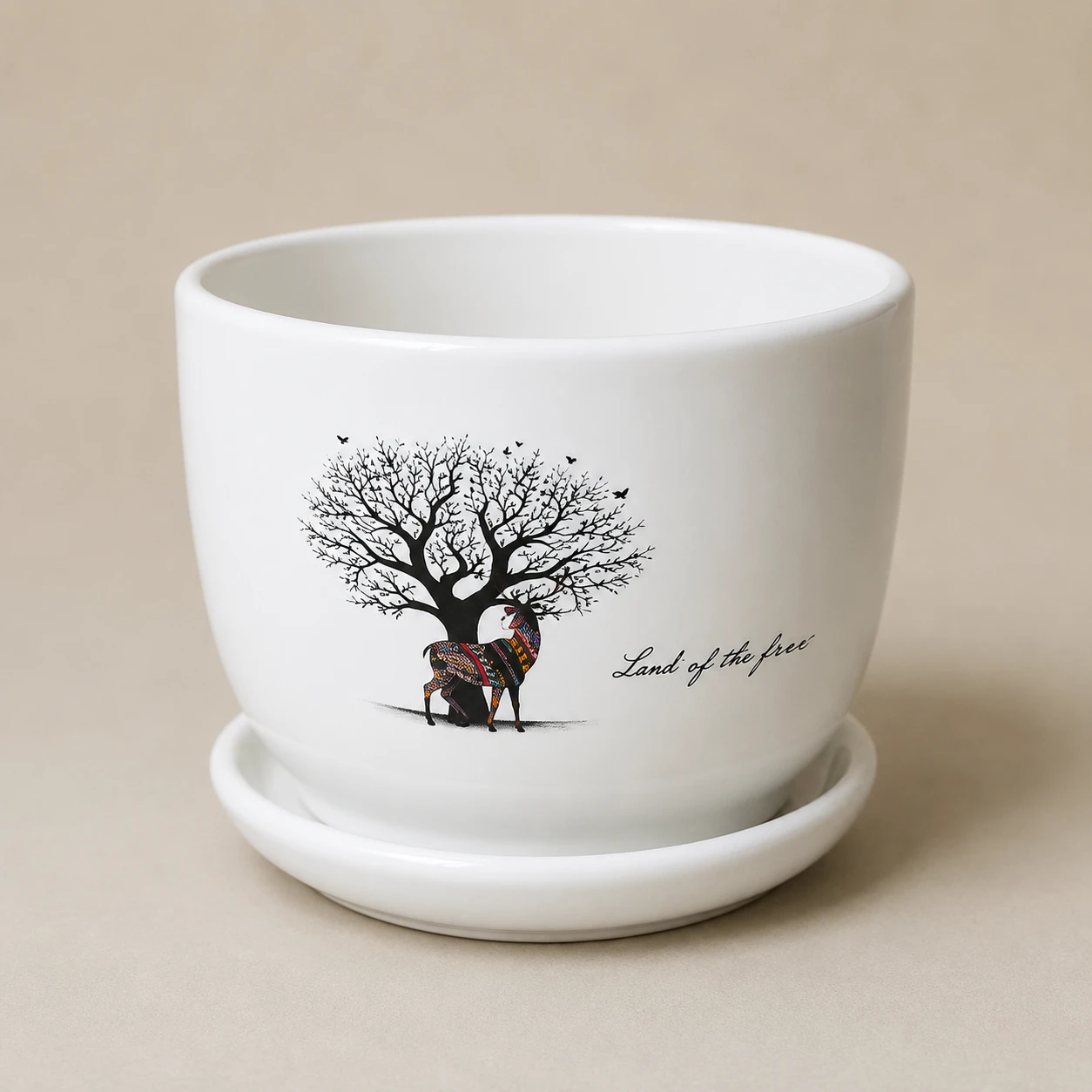 Elegant ceramic planter