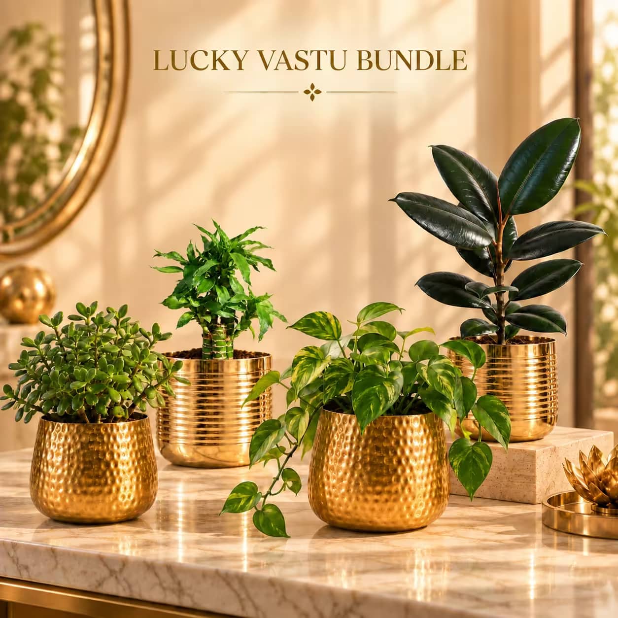 LUCKY VASTU BUNDLE