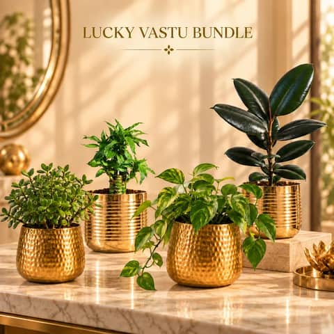 LUCKY VASTU BUNDLE