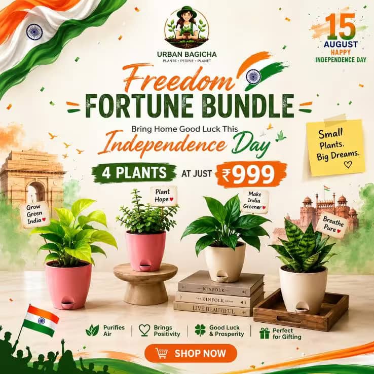 Good Luck Bundle