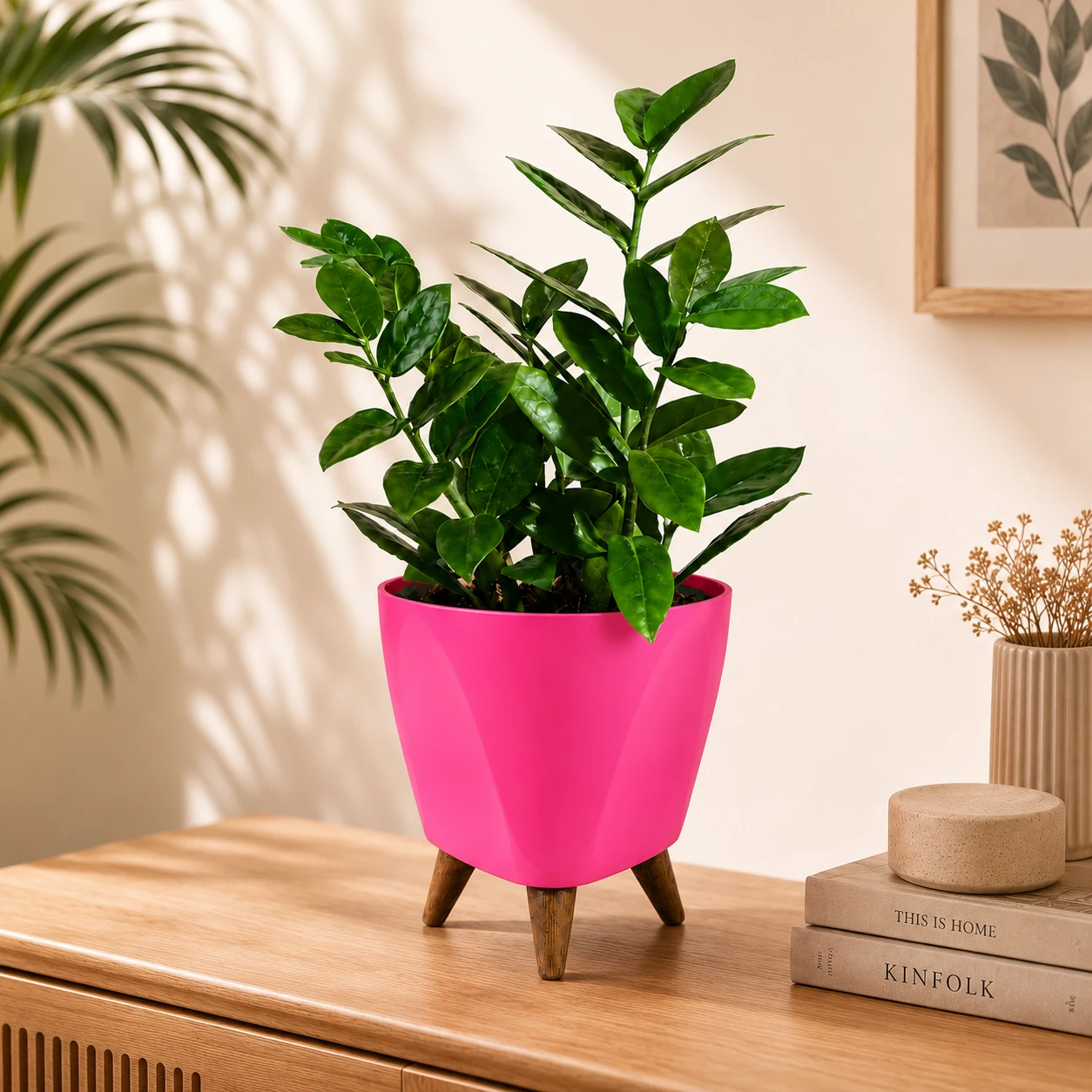 ZZ Plant in Premium Planter