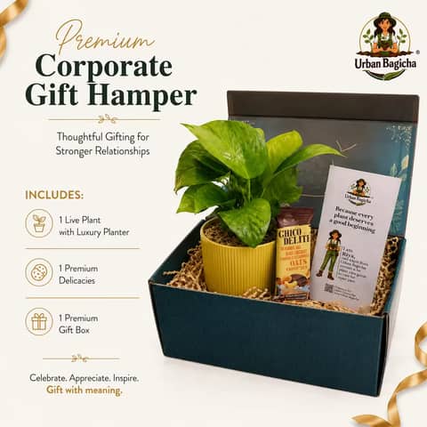 Executive Delight Gift Box